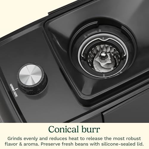 Anti Static Conical Burr Coffee Grinder — photo 5